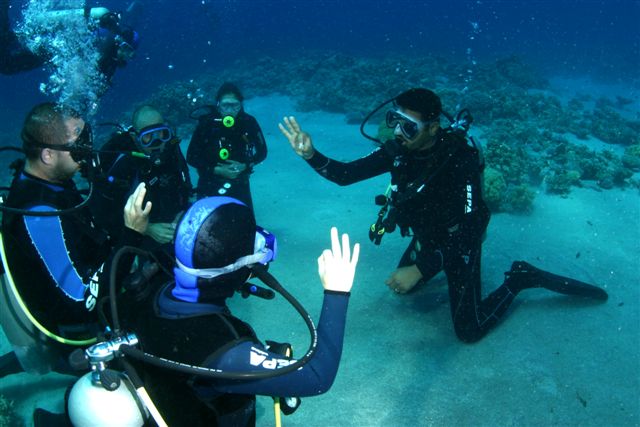 Diving Jobs 