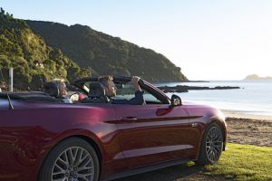 Car Rental