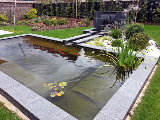 Clear Water In Garden Ponds - Maintaining Sparkling Water In Your Pond